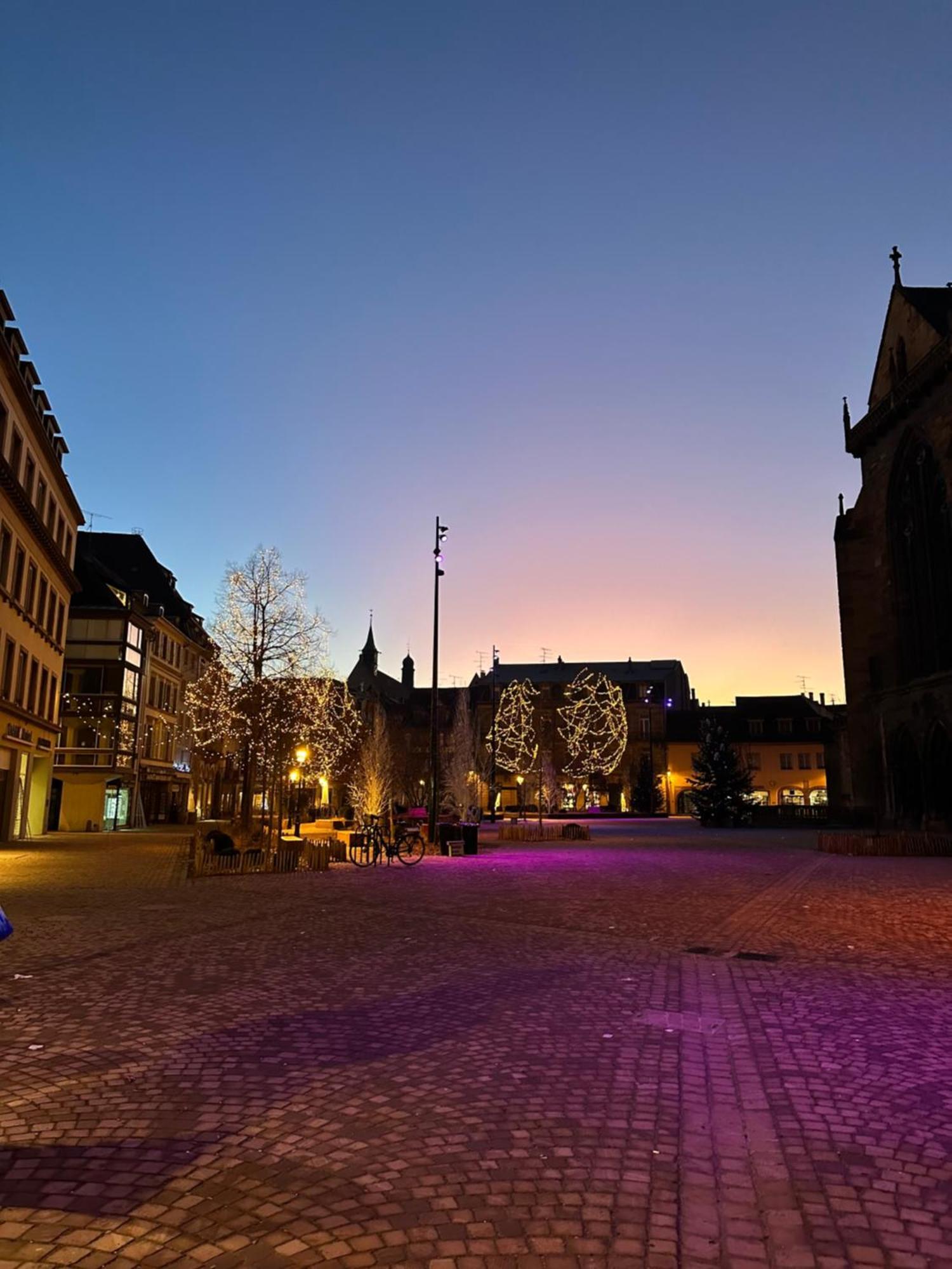 Apartament Le Muscat Colmar Zewnętrze zdjęcie