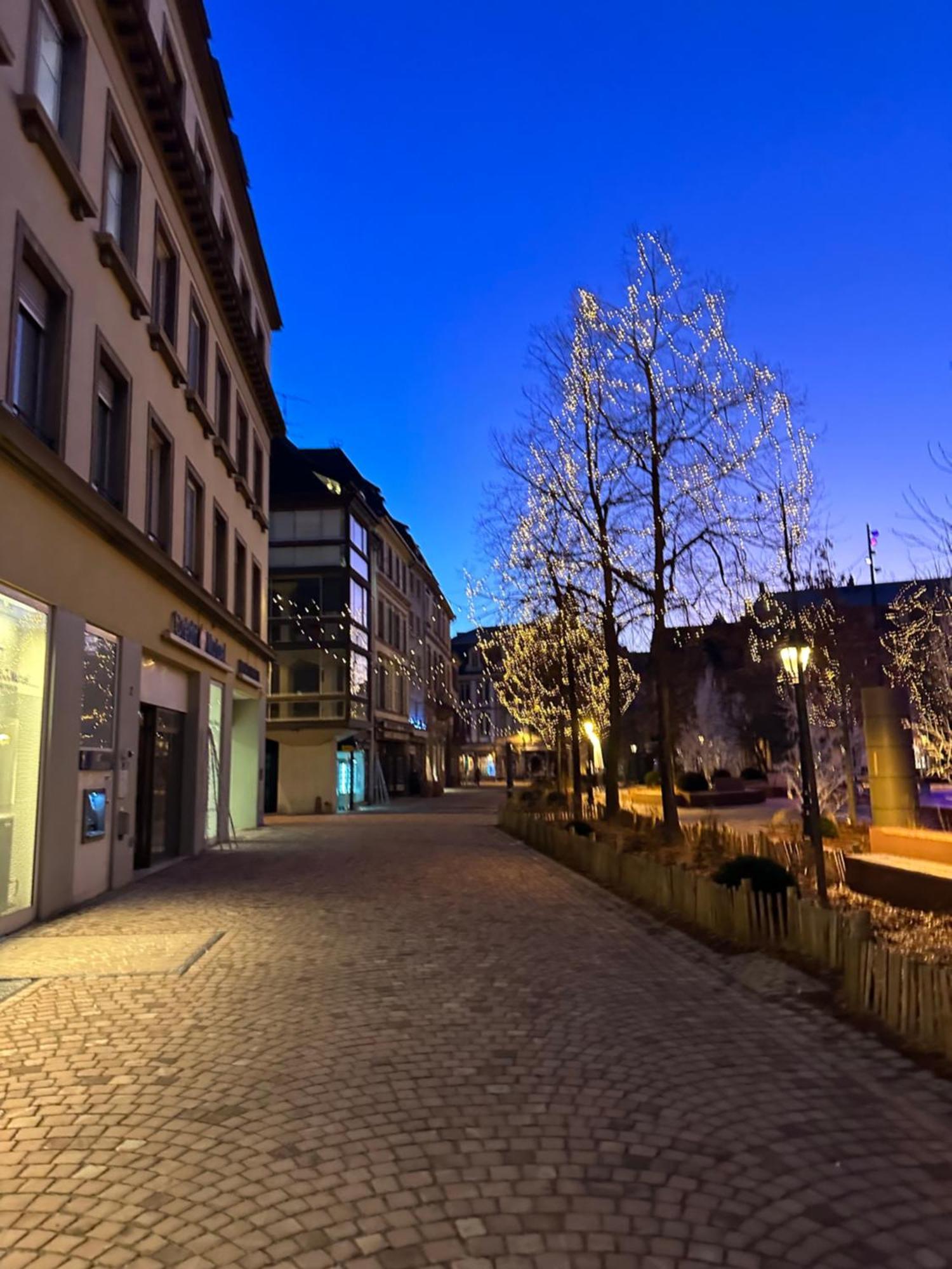 Apartament Le Muscat Colmar Zewnętrze zdjęcie