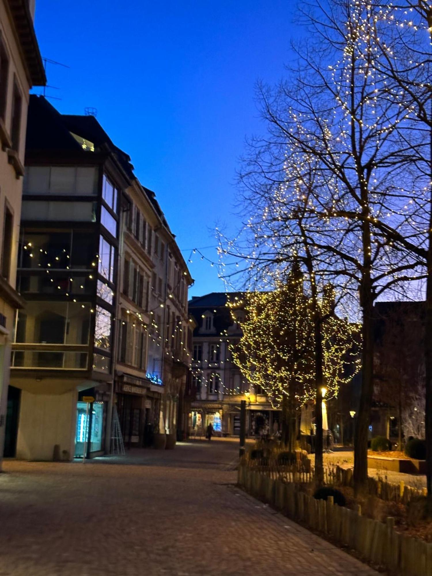 Apartament Le Muscat Colmar Zewnętrze zdjęcie