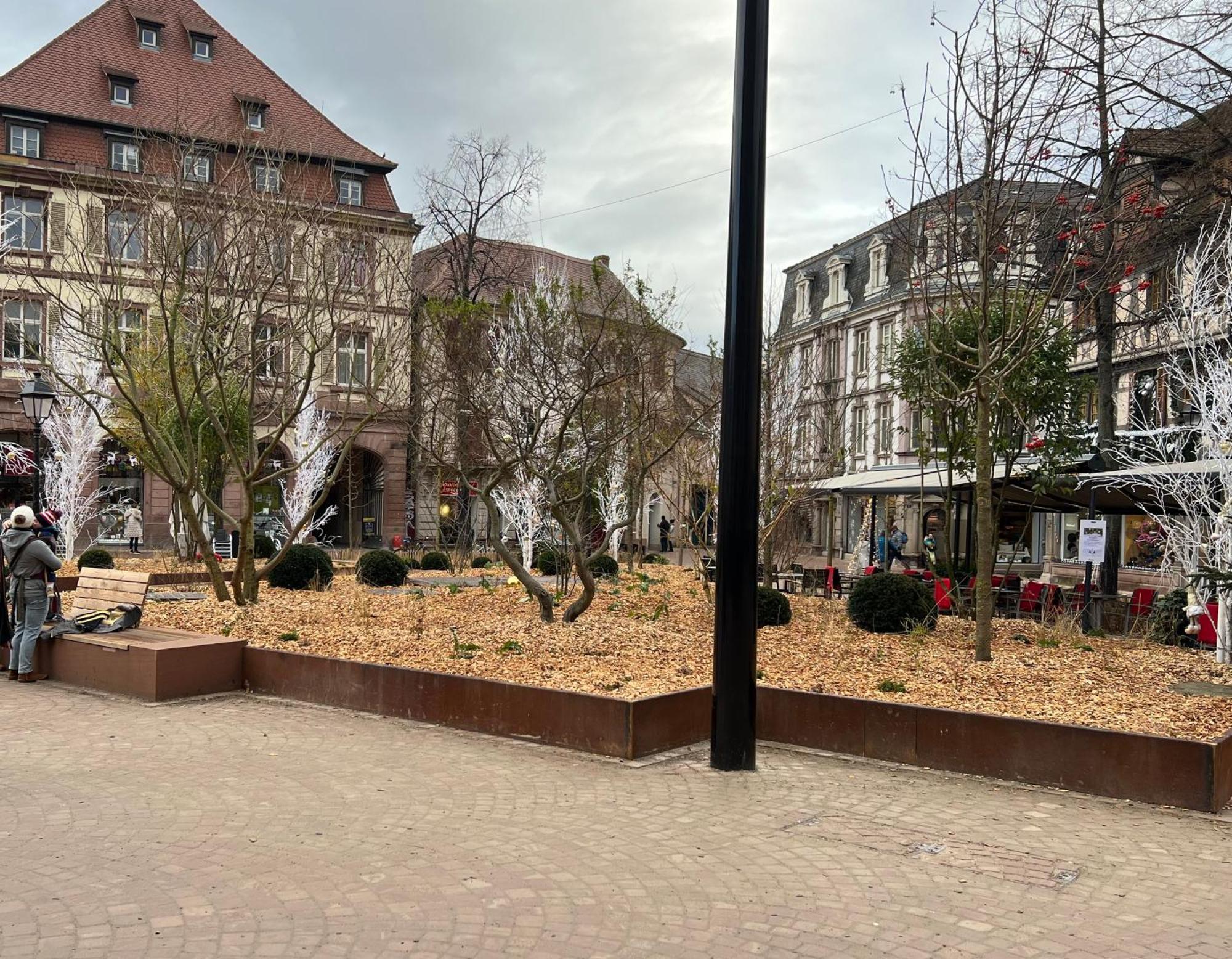 Apartament Le Muscat Colmar Zewnętrze zdjęcie